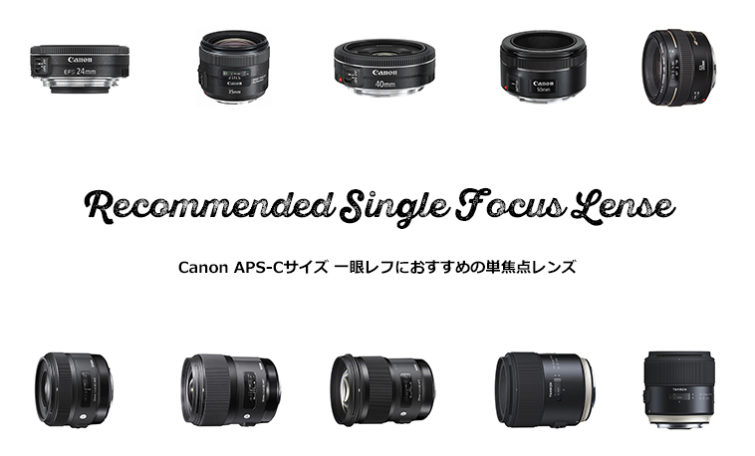 Canonレンズ【2本セット&レンズフード】APS-C機専用